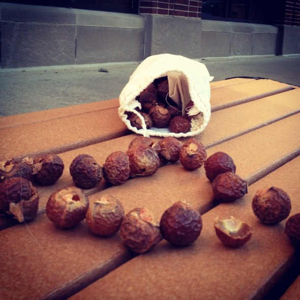 soap nuts in chicago