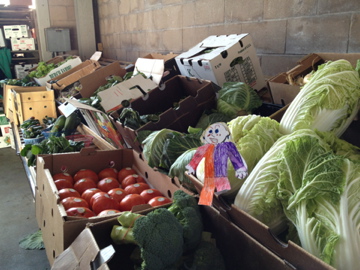 FS at the Farmers' Market. Maybe this is where she lost a few of her fingers. Oops!