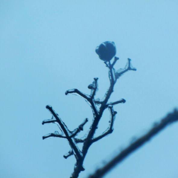 A talented friend took this picture during our recent "ice" event. 