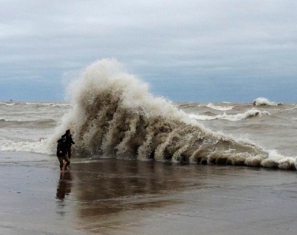 Hurricane Sandy encountering MY olive shoot in Chicago. This is him in the picture! 