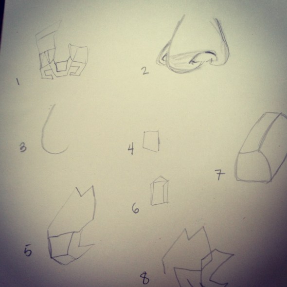 Yes, those are all noses. 