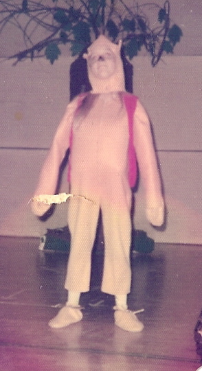 Winnie the Pooh meets strange heart rhythms, don't recommend it