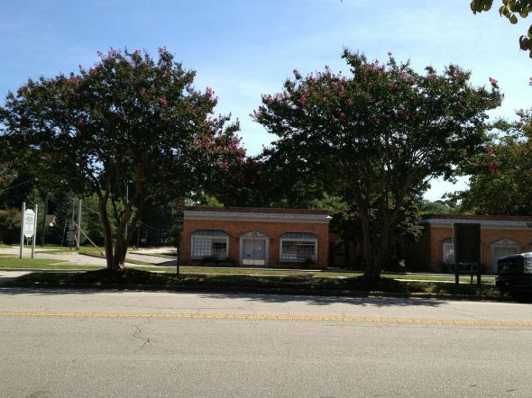 What do you see when you look at this picture? 